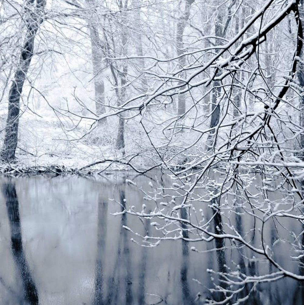 Winter Wonderland Perfume